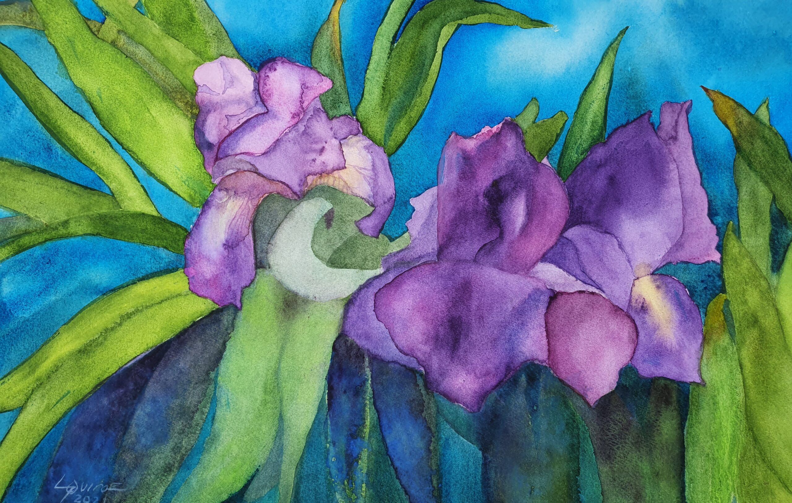 S/T